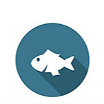 預制食品、冷凍面點